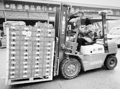 年货送什么 丑橘 车厘子 新年抱抱桶 等备受喜爱