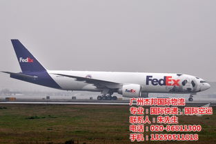 杰邦国际物流 fedex快递到韩国 狮岭fedex高清图片 高清大图