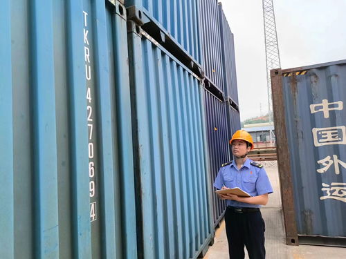 打通国际货运 大动脉 湾区中欧班列助力 世界工厂 走向世界